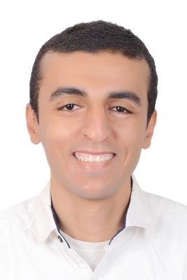 Ahmed Essam Darwish